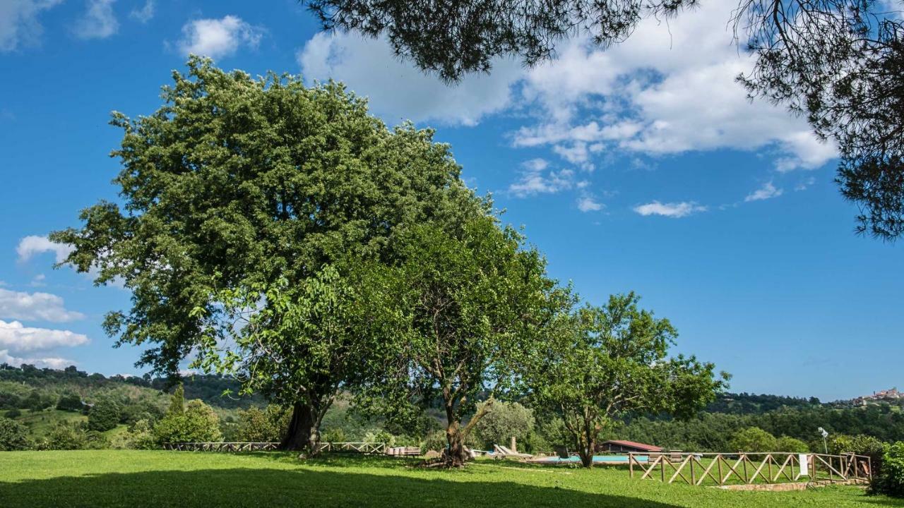 Agriturismo Bio Le Macchie Alte Manciano Exterior photo